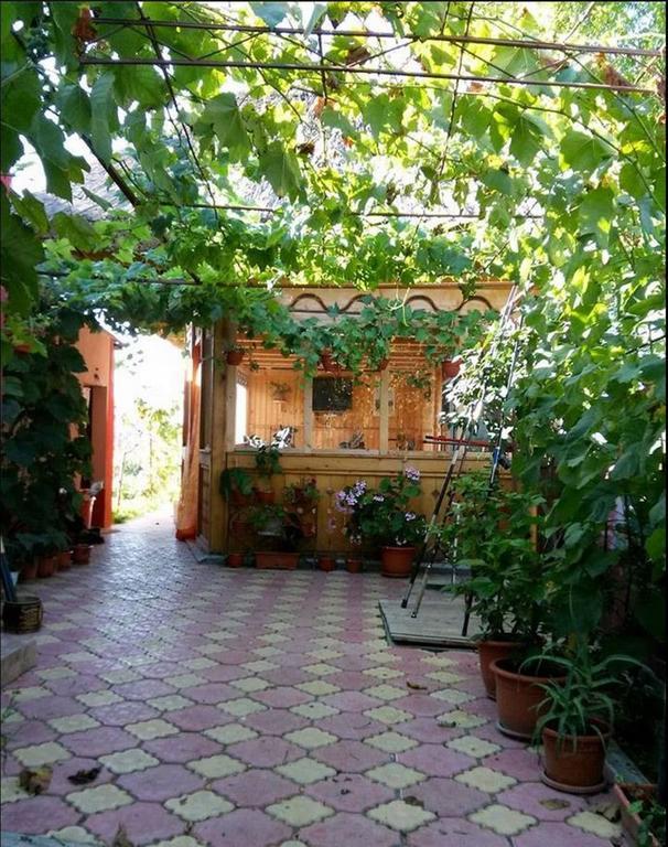 Hotel Casa Calin Crisan  Exterior foto
